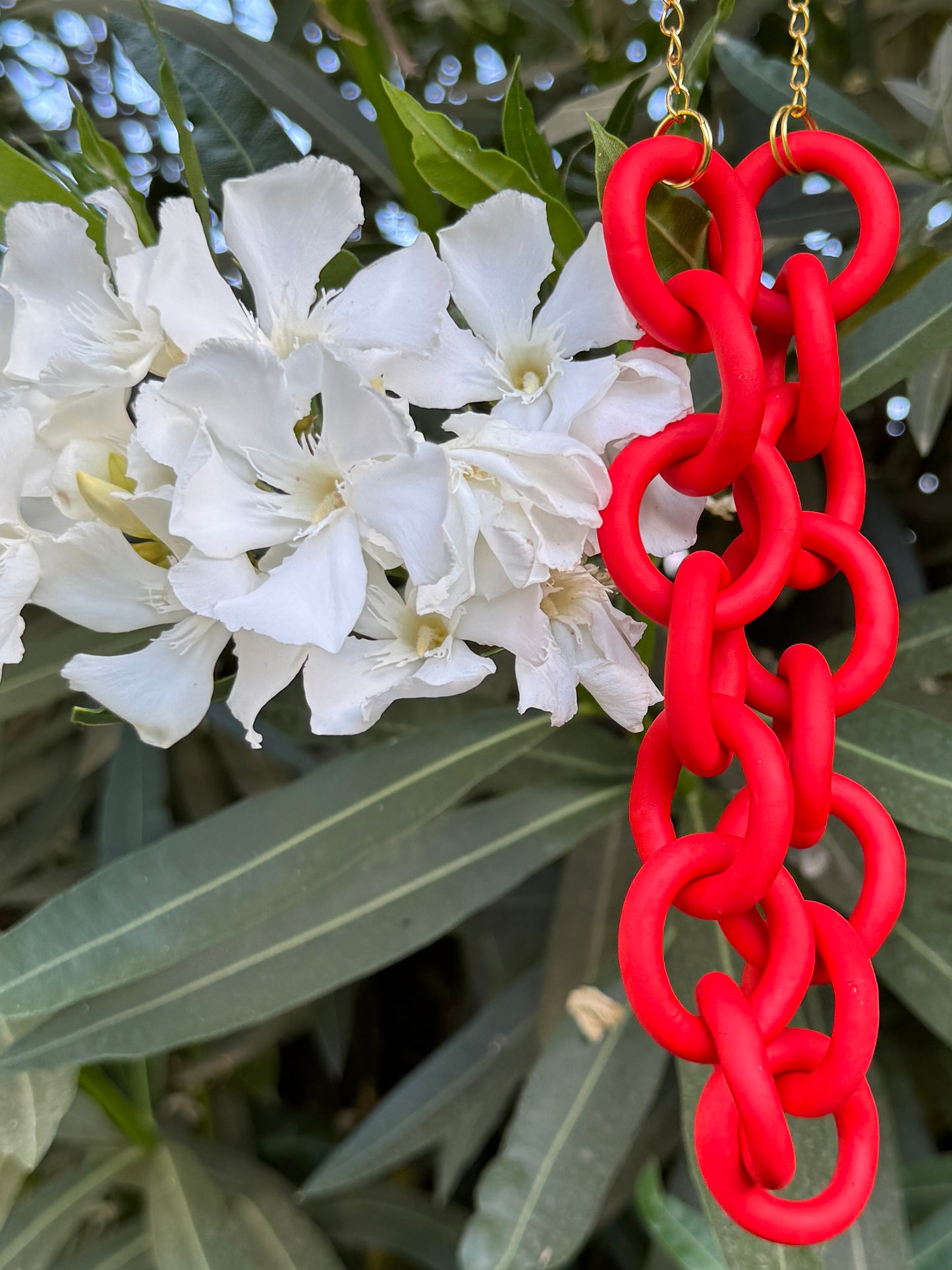 Collar Argollas